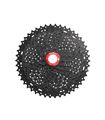 CASSETTE SUNRACE CSMX9X XD-DRIVER MTB 10-50 12V